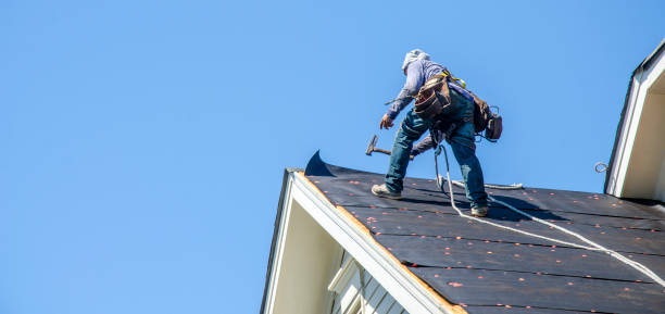 Professional Roofing Contractor in Lewisport, KY